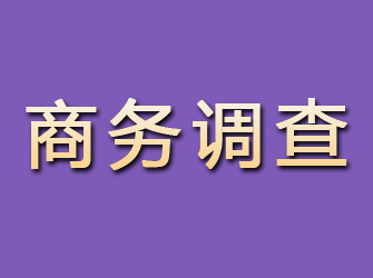 双峰商务调查